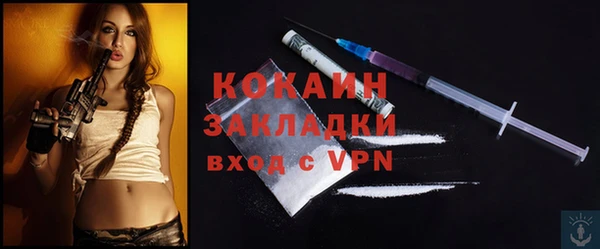 шишки Богданович