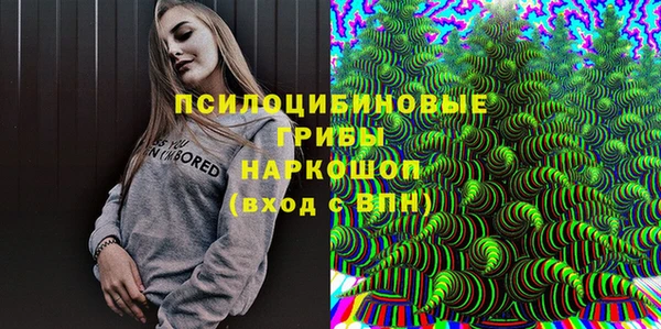 шишки Богданович
