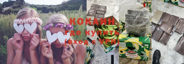 шишки Богданович