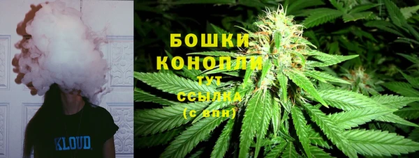 шишки Богданович