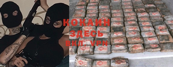шишки Богданович