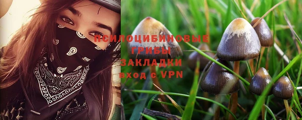 шишки Богданович