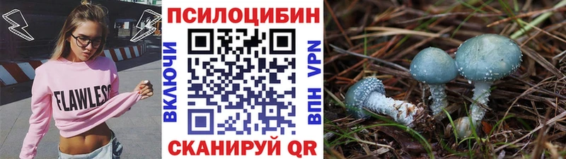 Псилоцибиновые грибы Psilocybine cubensis  Коммунар 